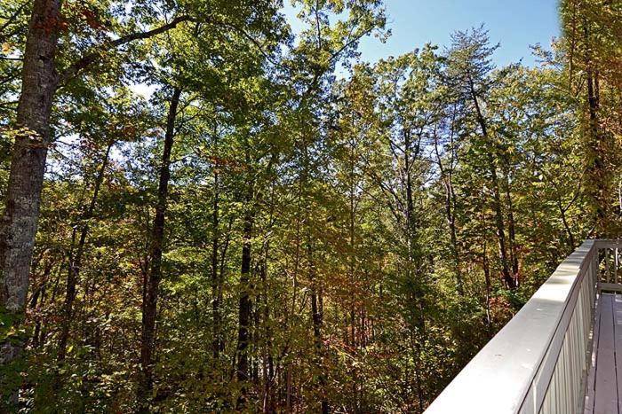 Smoky Mountain Dream Villa Gatlinburg Luaran gambar